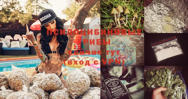 индика Дубна