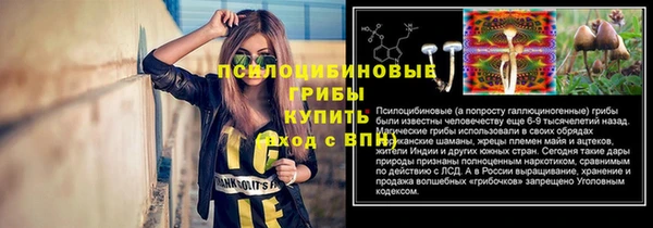 дурь Дрезна
