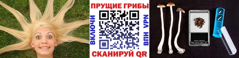 Псилоцибиновые грибы Psilocybe  наркошоп  Радужный 