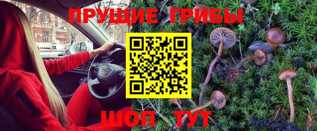 Галлюциногенные грибы MAGIC MUSHROOMS Радужный