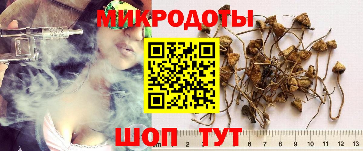 Псилоцибиновые грибы Psilocybine cubensis  Вход с VPN  Радужный  Псилоцибиновые грибы Psilocybe 