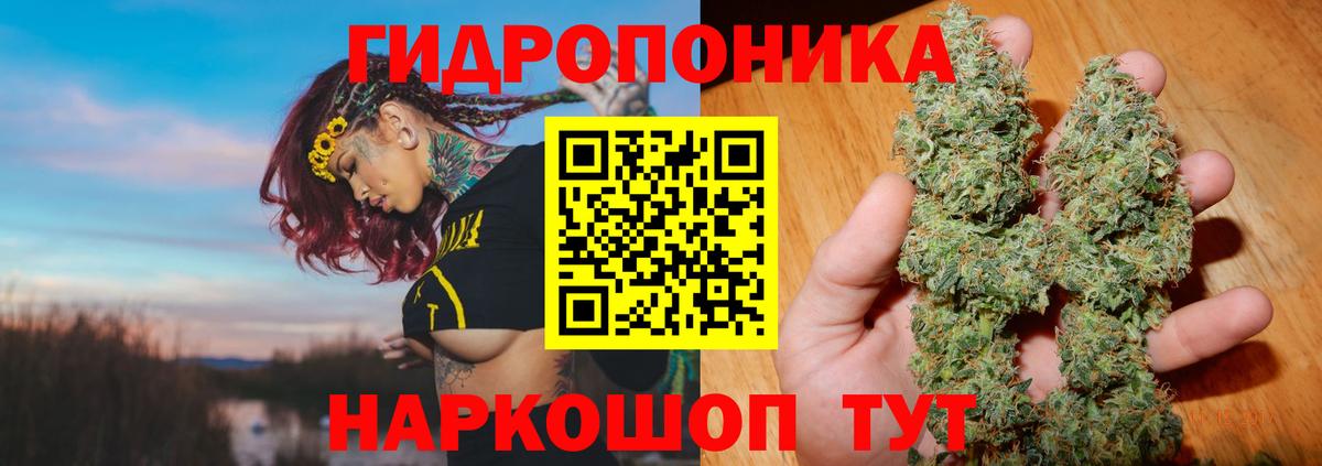 Шишки марихуана индика  Канабис семена  Радужный  Конопля AK-47  Вход с VPN  Бошки марихуана семена 